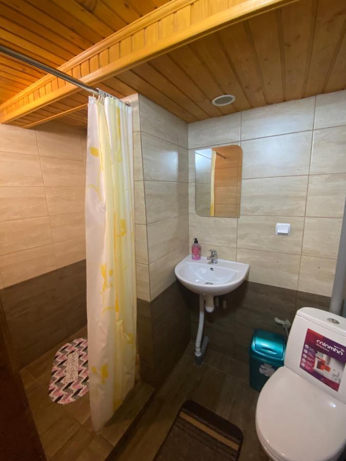 Pid Playem Villa Volovets Bagian luar foto